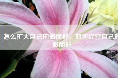 怎么扩大自己的微商群，如何经营自己的微商群