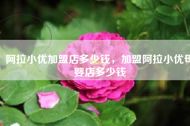 阿拉小优加盟店多少钱，加盟阿拉小优母婴店多少钱