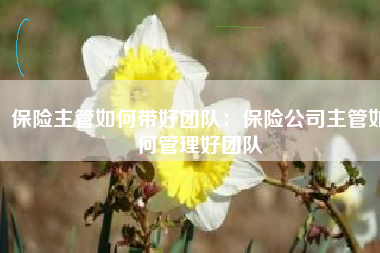 保险主管如何带好团队：保险公司主管如何管理好团队