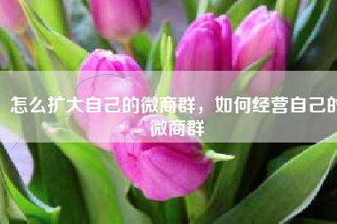 怎么扩大自己的微商群，如何经营自己的微商群