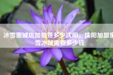 冰雪蜜城店加盟费多少沈阳，沈阳加盟蜜雪冰城需要多少钱