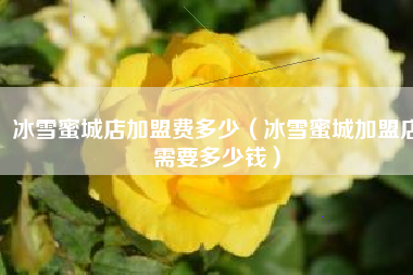 冰雪蜜城店加盟费多少（冰雪蜜城加盟店需要多少钱）