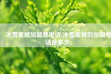 冰雪蜜城加盟费电话(冰雪蜜城的加盟电话是多少)