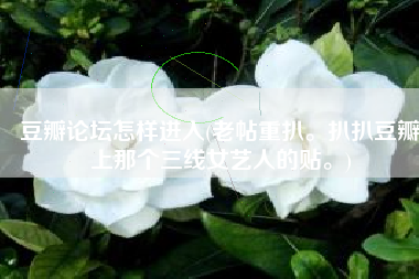 豆瓣论坛怎样进入(老帖重扒。扒扒豆瓣上那个三线女艺人的贴。)