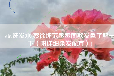 ebv洗发水(蔡徐坤范丞丞同款发色了解一下（附详细染发配方）)