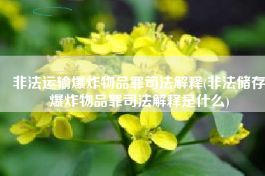 非法运输爆炸物品罪司法解释(非法储存爆炸物品罪司法解释是什么)
