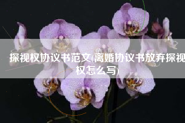 探视权协议书范文(离婚协议书放弃探视权怎么写)