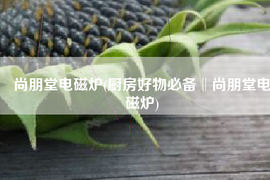 尚朋堂电磁炉(厨房好物必备‖尚朋堂电磁炉)