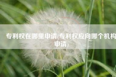 专利权在哪里申请(专利权应向哪个机构申请)