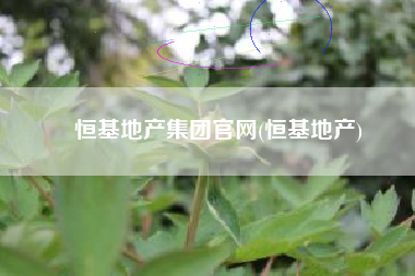 恒基地产集团官网(恒基地产)
