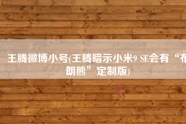 王腾微博小号(王腾暗示小米9 SE会有“布朗熊”定制版)