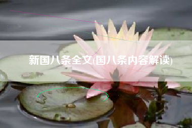 新国八条全文(国八条内容解读)