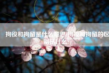 拘役和拘留是什么意思(拘役和拘留的区别是什么?)