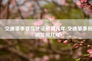 交通肇事罪驾驶证吊销几年(交通肇事吊销驾照几年)