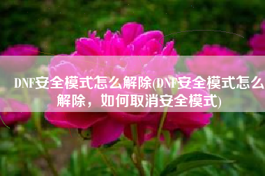 DNF安全模式怎么解除(DNF安全模式怎么解除，如何取消安全模式)
