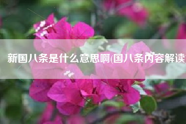 新国八条是什么意思啊(国八条内容解读)