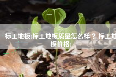 标王地板(标王地板质量怎么样 ？标王地板价格)