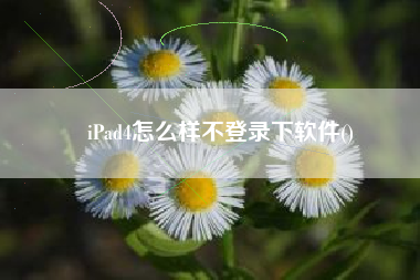iPad4怎么样不登录下软件()