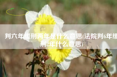 判六年缓刑两年是什么意思(法院判6年缓刑2年什么意思)