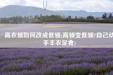 高衣领如何改成低领(高领变低领?自己动手丰衣足食)