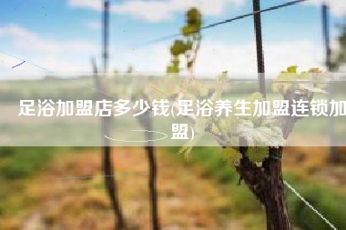 足浴加盟店多少钱(足浴养生加盟连锁加盟)