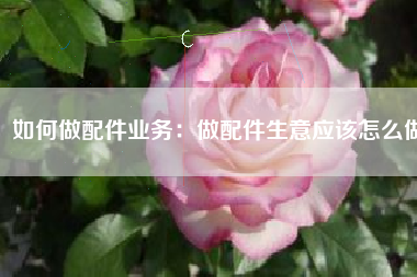 如何做配件业务：做配件生意应该怎么做
