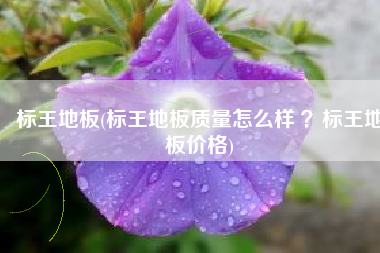 标王地板(标王地板质量怎么样 ?标王地板价格) 标王地板(标王地板质量怎么样 ?标王地板价格)