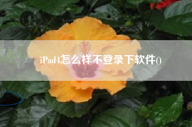 iPad4怎么样不登录下软件()