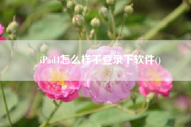 iPad4怎么样不登录下软件()