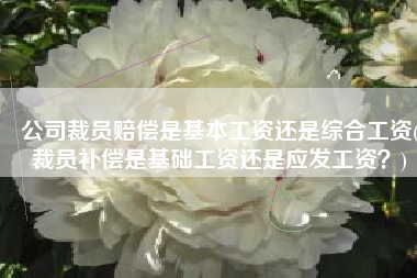 公司裁员赔偿是基本工资还是综合工资(裁员补偿是基础工资还是应发工资？)