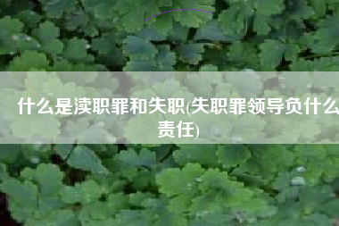 什么是渎职罪和失职(失职罪领导负什么责任)