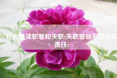 什么是渎职罪和失职(失职罪领导负什么责任)