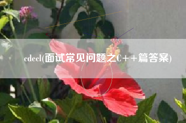 cdecl(面试常见问题之C++篇答案)
