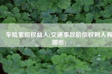 车险索赔权益人(交通事故赔偿权利人有哪些)