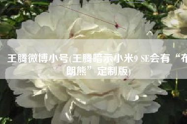 王腾微博小号(王腾暗示小米9 SE会有“布朗熊”定制版)