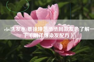 ebv洗发水(蔡徐坤范丞丞同款发色了解一下（附详细染发配方）)