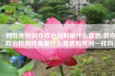 判处死刑剥夺政治权利是什么意思(剥夺政治权利终身是什么意思和死刑一样吗)