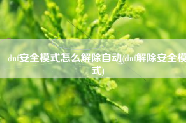 dnf安全模式怎么解除自动(dnf解除安全模式)