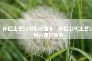 保险主管如何带好团队：保险公司主管如何管理好团队