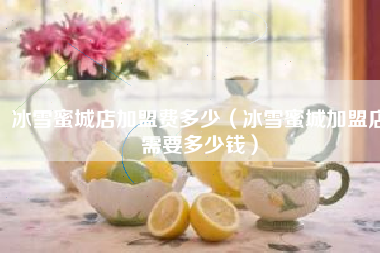 冰雪蜜城店加盟费多少（冰雪蜜城加盟店需要多少钱）