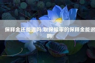 保释金还能退吗(取保候审的保释金能退吗)