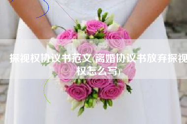 探视权协议书范文(离婚协议书放弃探视权怎么写)