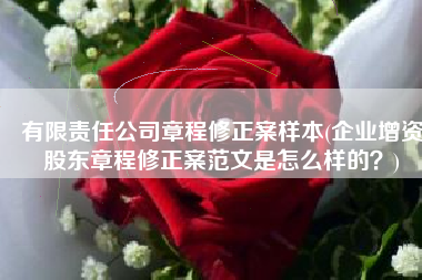 有限责任公司章程修正案样本(企业增资股东章程修正案范文是怎么样的？)