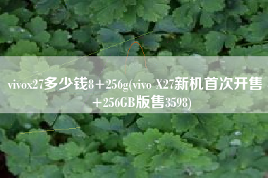 vivox27多少钱8+256g(vivo X27新机首次开售 8+256GB版售3598)