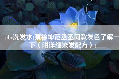 ebv洗发水(蔡徐坤范丞丞同款发色了解一下（附详细染发配方）)