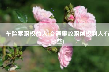 车险索赔权益人(交通事故赔偿权利人有哪些)