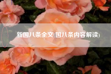 新国八条全文(国八条内容解读) 新国八条全文(国八条内容解读)