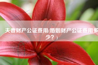 夫妻财产公证费用(婚姻财产公证费用多少？)