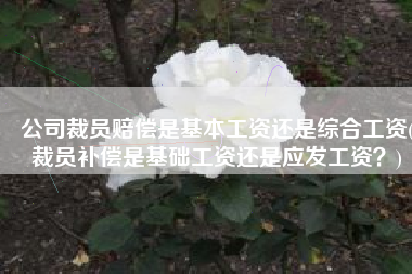 公司裁员赔偿是基本工资还是综合工资(裁员补偿是基础工资还是应发工资？)