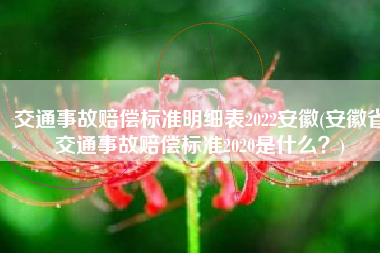 交通事故赔偿标准明细表2022安徽(安徽省交通事故赔偿标准2020是什么？)